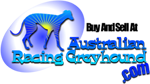 Greyhounds For Sale