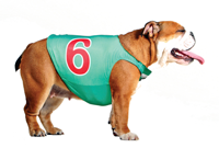 Sandown Sixes Runner Betty Sandown Sixes Runner Betty