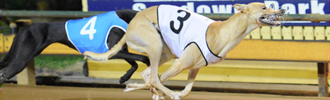C’est La Vie Captures The Group 1 Laurels Classic