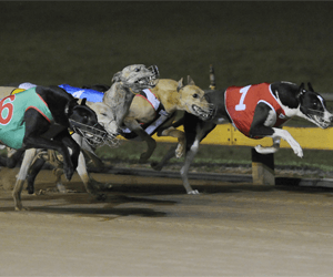 Farmer’s Image Upsets More Fancied Rivals Farmer’s Image Upsets More Fancied Rivals