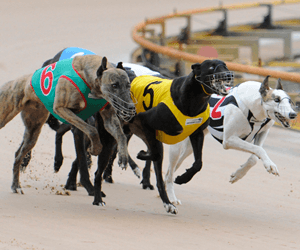 McKenna Memorial Heats Highlight A Magnificent Night Of Racing McKenna Memorial Heats Highlight A Magnificent Night Of Racing