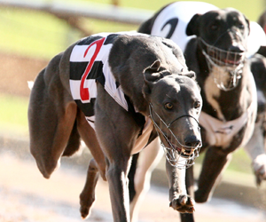 What you may have missed: Cannington conducts final meeting What you may have missed: Cannington conducts final meeting