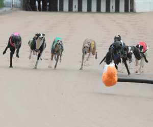 Racing Rip Off – TAB Tote’s Fooling The Market Racing Rip Off – TAB Tote’s Fooling The Market
