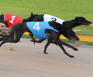 Ray Burgess Goes Home With Four Winners Ray Burgess Goes Home With Four Winners