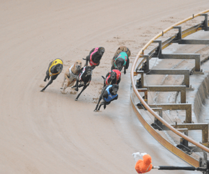 Turbo Powering To Third Straight Victory Turbo Powering To Third Straight Victory