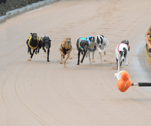 Luna Jinx Causes Huge Upset In Group One Superstayers Final Luna Jinx Causes Huge Upset In Group One Superstayers Final