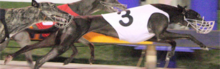 Elektra Winning The Sky Channel Galaxy Earlier This Year Elektra Winning The Sky Channel Galaxy Earlier This Year