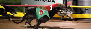 Fedex Delivers Yet Again For Thompson In Dawson Heats
