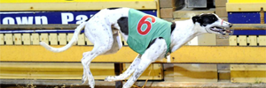 Forty Twenty Scores Maidment Memorial Win
