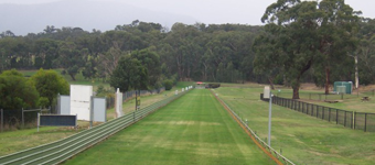 Healesville Greyhounds Gain $1.5Million Boost But The Grass Will Go