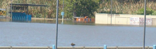 Kemspey Flood Kempsey Greyhound Track Under Water