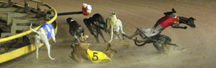 Maturity Classic Race Fall