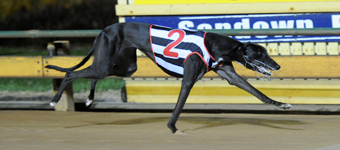 So Seductive So Brilliant In Sir John Dillon Memorial Final