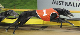 AGRA Run Of The Month Just A Stepping Stone AGRA Run Of The Month Just A Stepping Stone