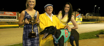 Big Weekend Looms For Hunter Valley Greyhounds