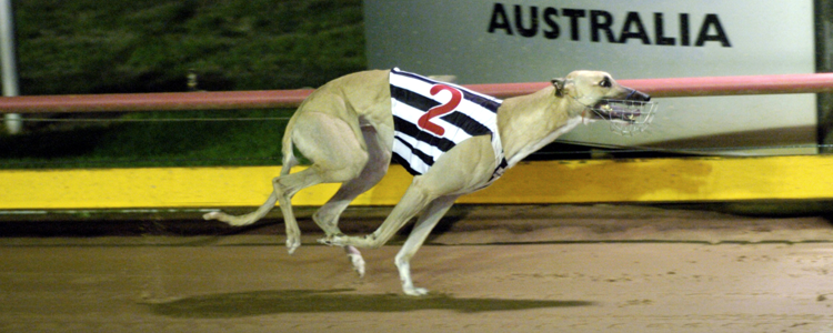 Box Draw Ensures A Cracker Maturity Classic Final