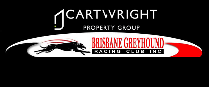 Property High Flyer Signs With Brisbane Greyhounds