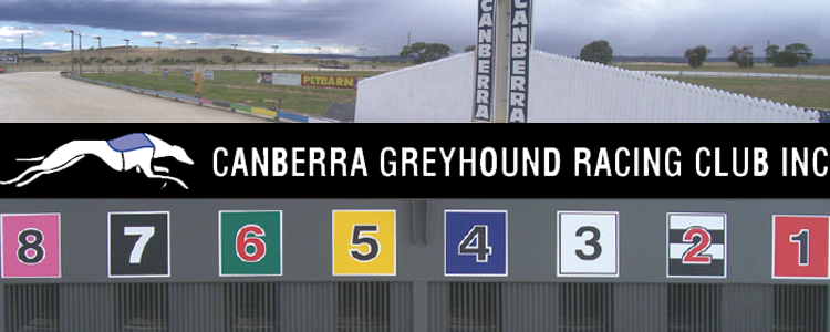 Small Greyhound Race Program Produces Good Racing At Canberra