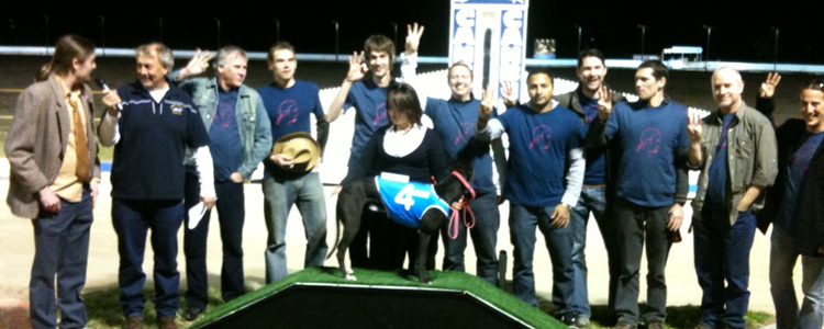 Pro Trainers To The Fore At Canberra Greyhounds