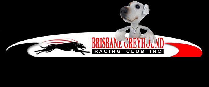 Brisbane Greyhounds & Uni Students Do It Doggy Style Thursday Night