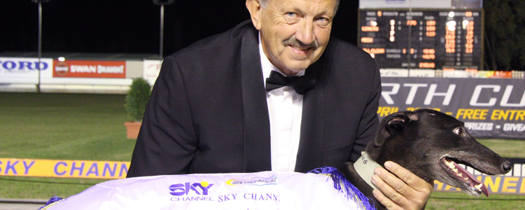 Elektra Crowned 2008 WA Greyhound Of The Year