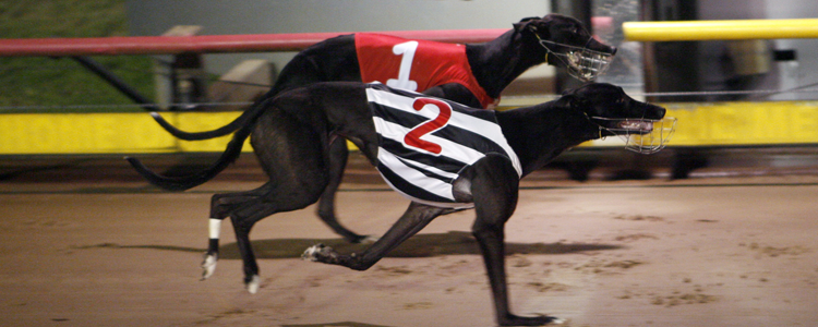 2009 Group 2 Ladies Bracelet Final Thrown Wide Open