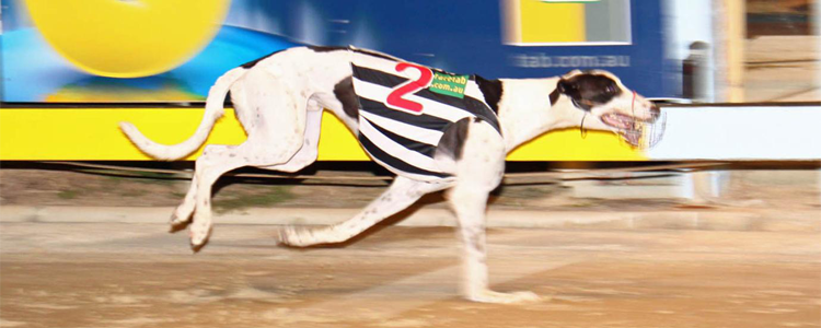 Forty Twenty Equals Richmond Record & Wins AGRA Run OF The Month