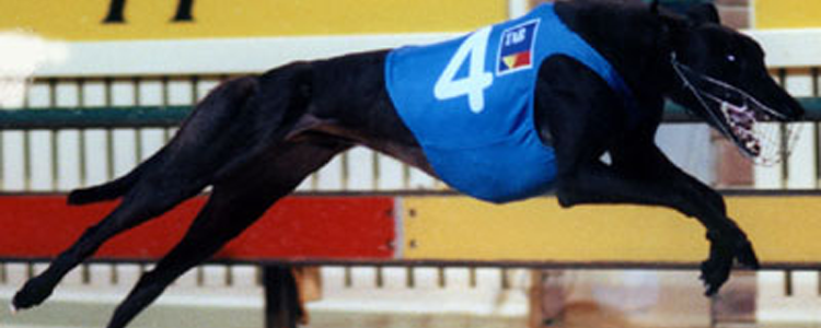 Mark Bell’s 2nd Young Star Classic Hopes For Hooky Booky