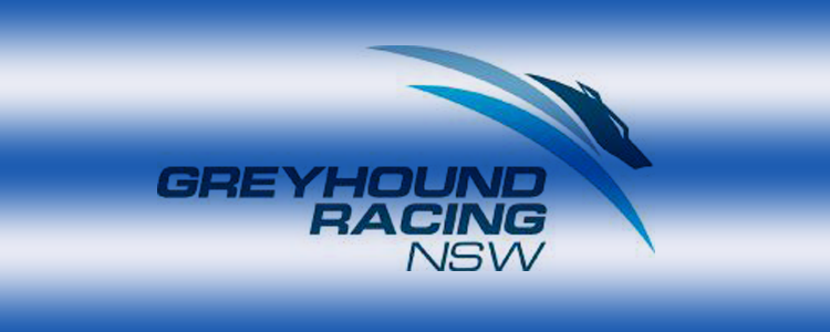 Moree & Forbes Greyhound Clubs On The Chopping Block