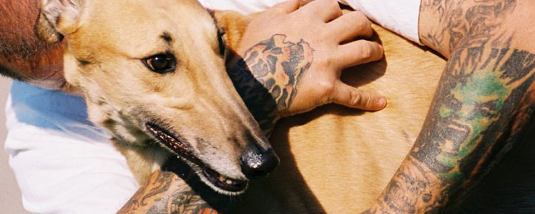 Greyhounds Go To Tarrengower Prison