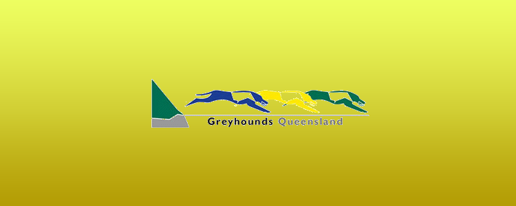 Greyhounds Queensland Chairman Of Stewards Dies Suddenly