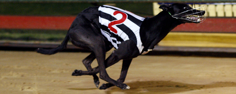 The Queen Makes It Track Record Number Six