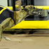 Drill ‘Em Wins AGRA February 2010 Greyhound Of The Month