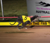 El Galo Winning The 2008 Topgun