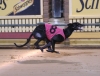 Hot Puzzle Winning In 30.23 For Paul Anderton