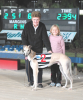 Margaret Dwyer & Krystal Celebrate with Roman's Know After His Lismore Track Record