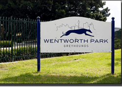 wentypark