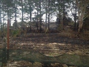 robertson fire 2