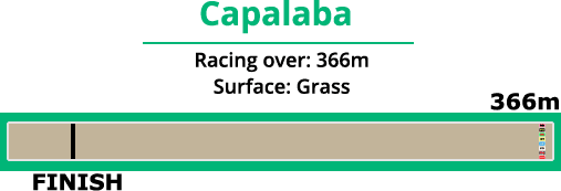 capalaba greyhound track