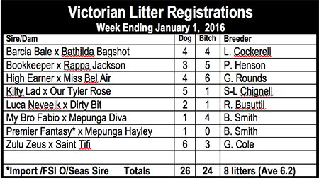 Victorian Litter Registrations