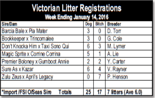 Victorian litter registration