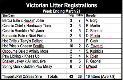 Victorian Litter Registrations 22/4