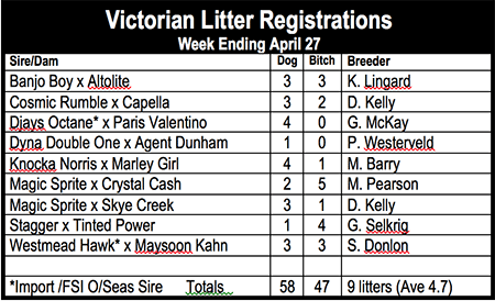 Victorian Litter Registrations