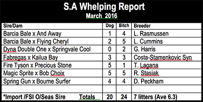 South Australian Whelping report