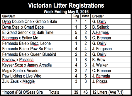 Victorian Litter Registrations