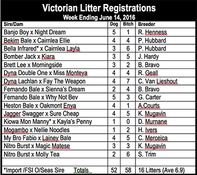 Victorian Litter Registrations
