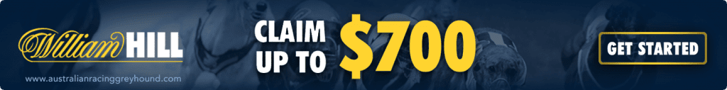 William Hill bonus bets banner