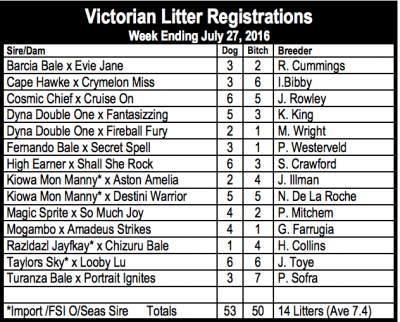 Victorian Litter Registrations