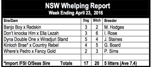 NSW Whelping Report