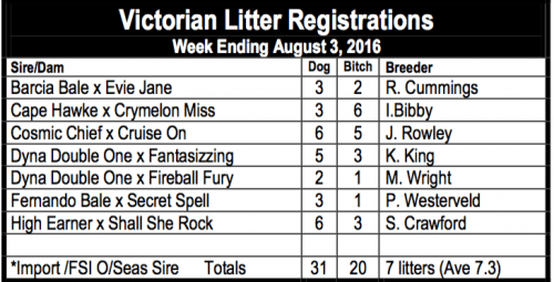 Victorian litter registrations